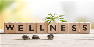 wellness 