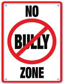 No Bully Zone