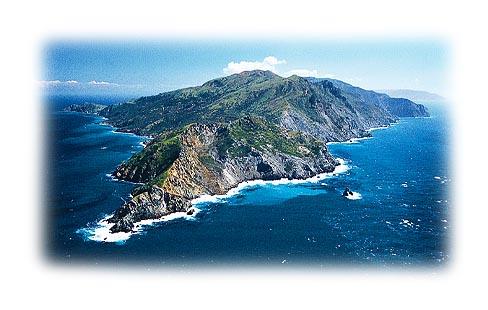 catalina 