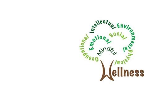 Wellness 